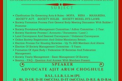 flier