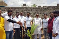 Tree Plantation Drive