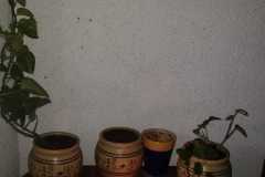IMG-20200621-WA0050